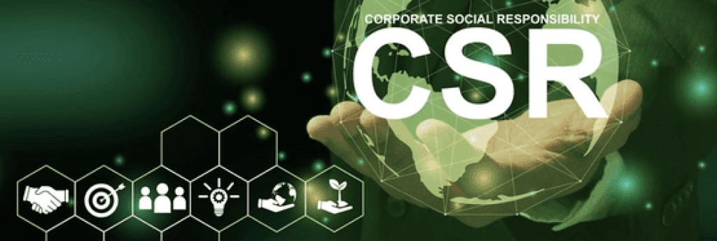corporate social responsibility critical analysis 1
